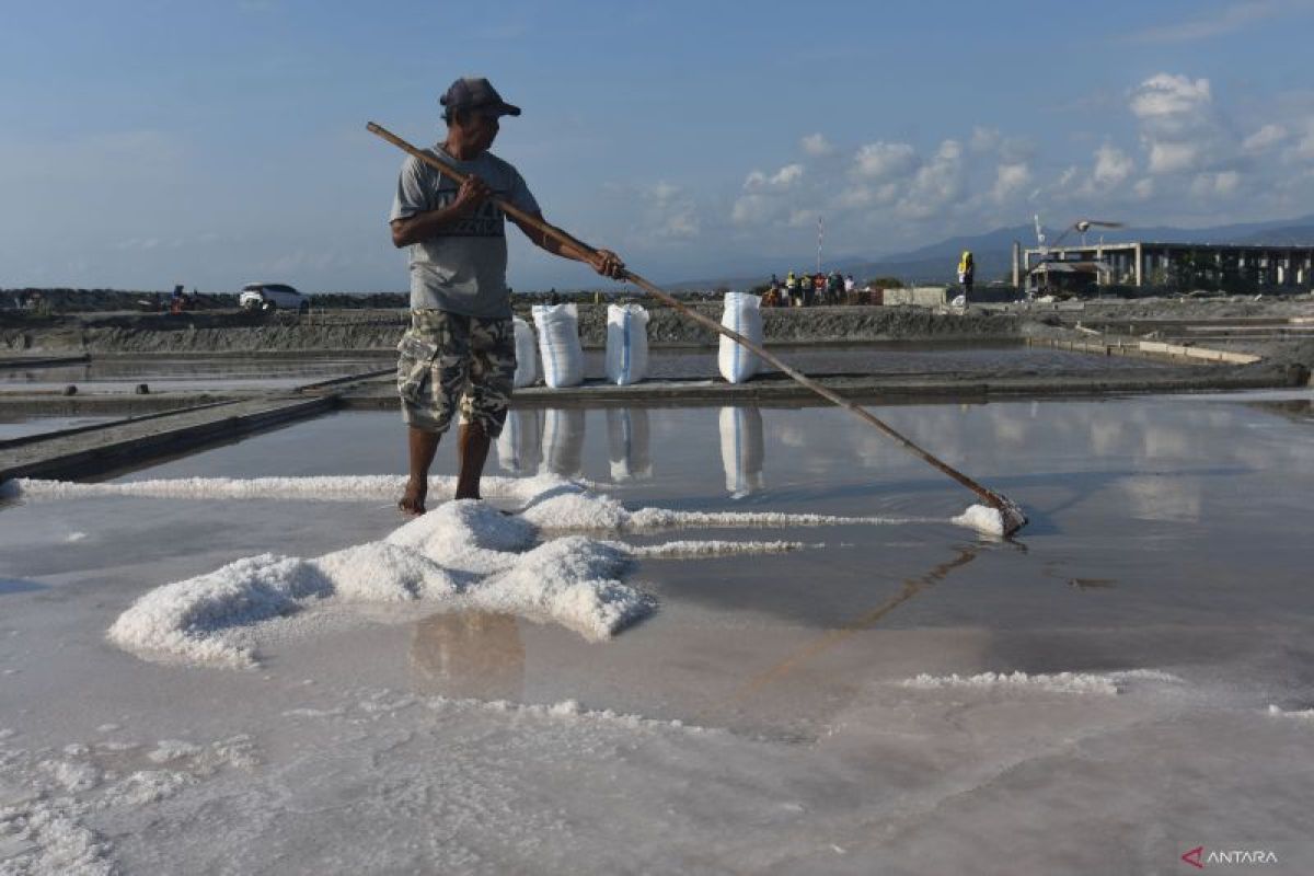 Aceh Besar miliki potensi garam berkualitas tinggi