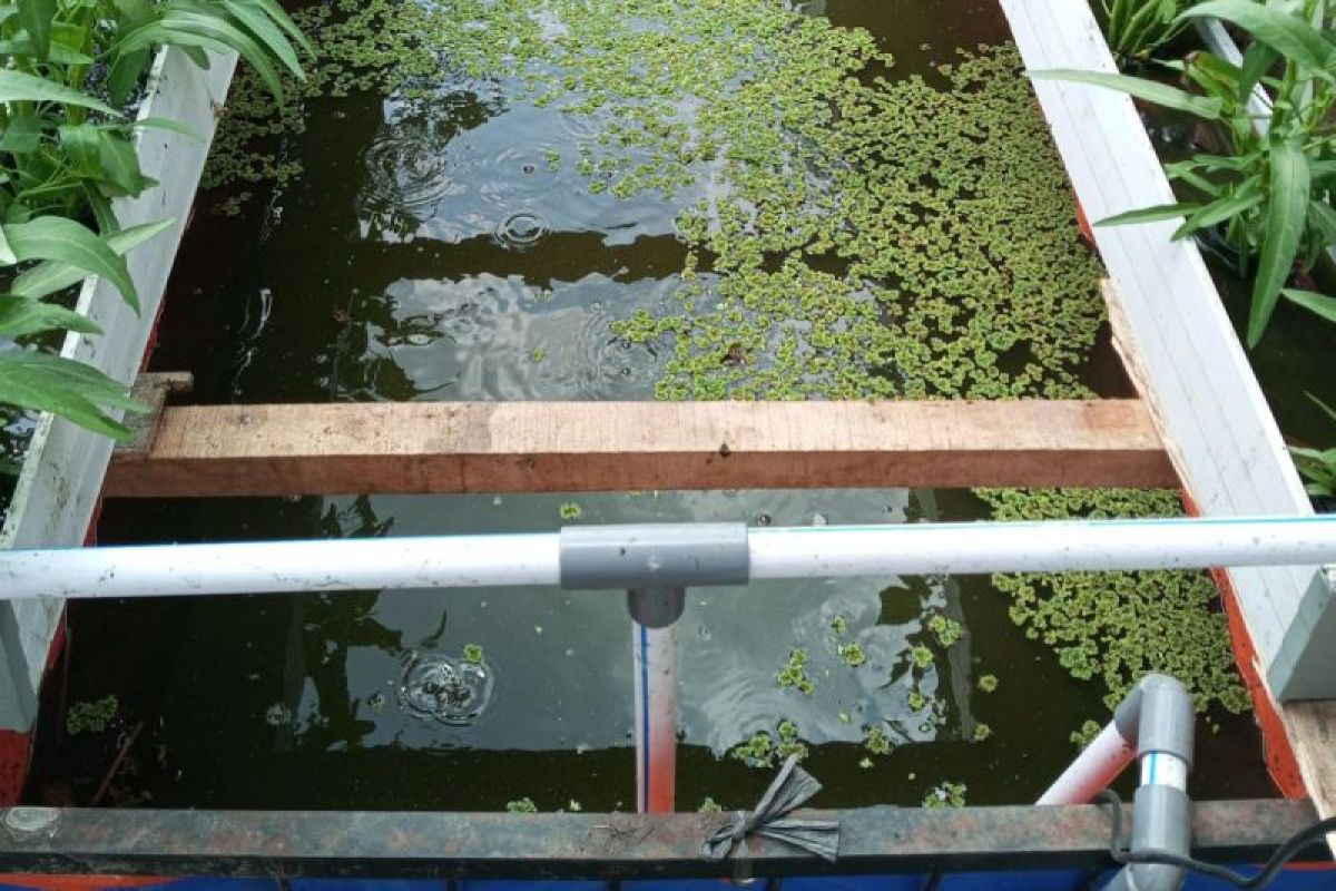 Tim PPK Ormawa Carya Bhuana Unsoed kenalkan sistem hidroponik DFT dan aquaponik