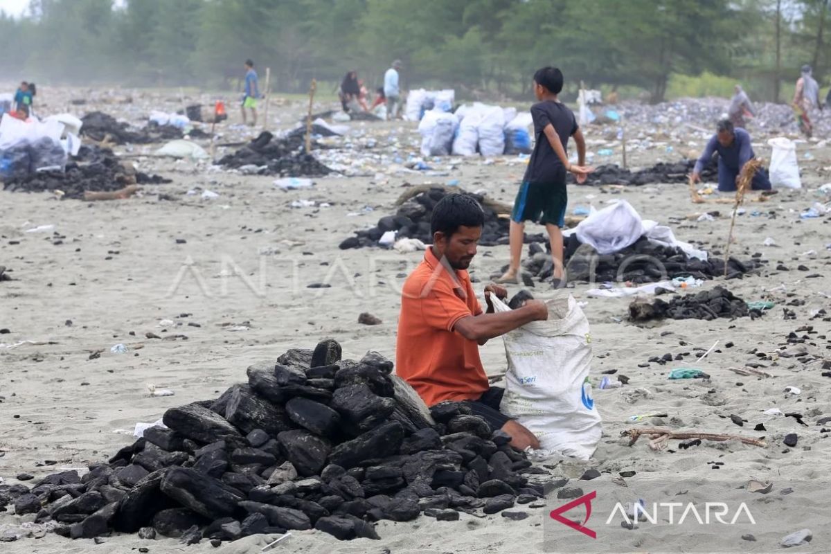 Pemkab Aceh Barat laporkan kasus tumpahan batu bara di laut ke DLHK Aceh