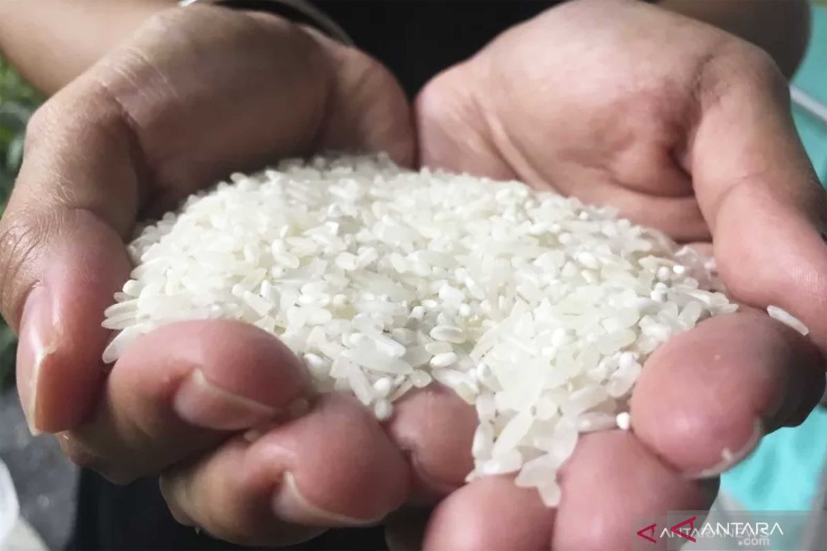 Kenaikan harga beras beri andil utama  inflasi Kota Malang