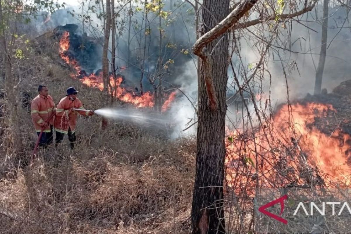 Hujan tak turun 61 hari, lima wilayah Bali berstatus Awas kekeringan