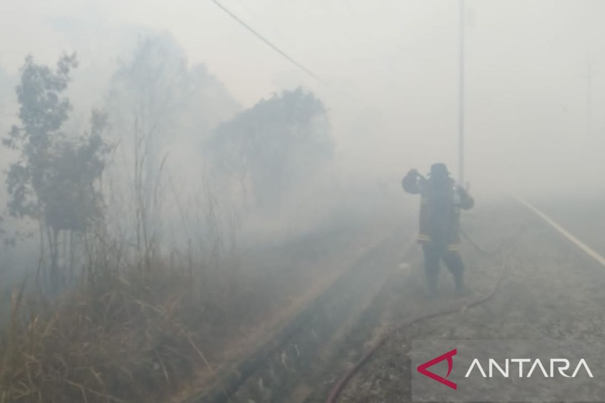 BPBD Belitung catat 114 karhutla sepanjang September 2023