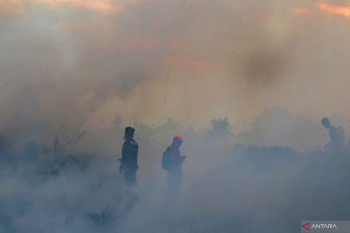 BMKG: Delapan daerah di Kalsel kabut asap akibat karhutla pada Senin