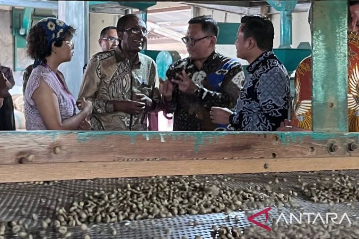 Perkebunan Nusantara ajak Ethiopia bangun bisnis kopi berkelanjutan