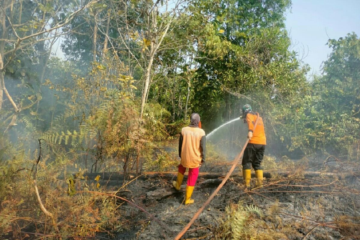 Tim gabungan Kabupaten PPU padamkan  karhutla di Nenang