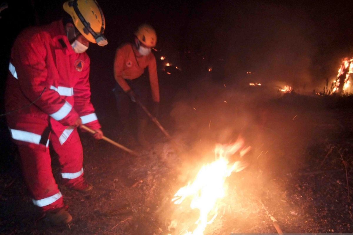 Petugas gabungan padamkan karhutla di lereng Gunung Raung Jember