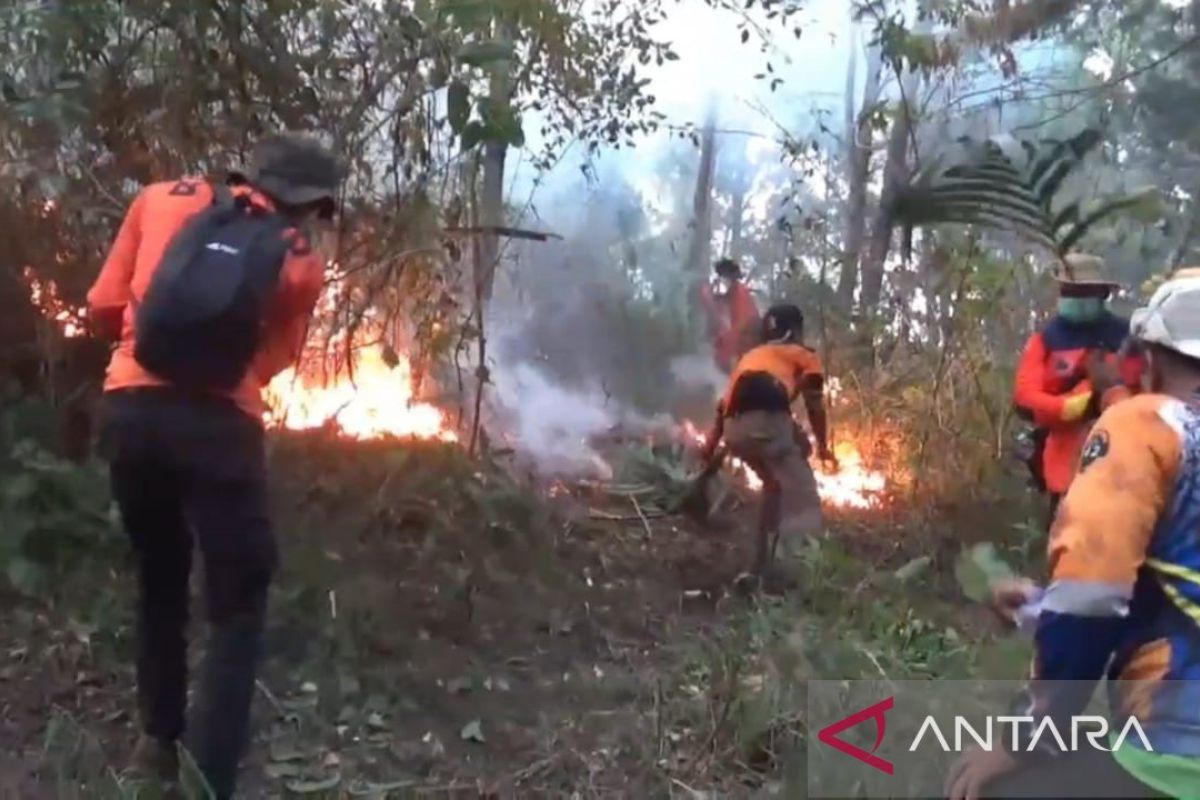 Pemkab Ngawi tetapkan Status Tanggap Darurat karhutla di Gunung Lawu