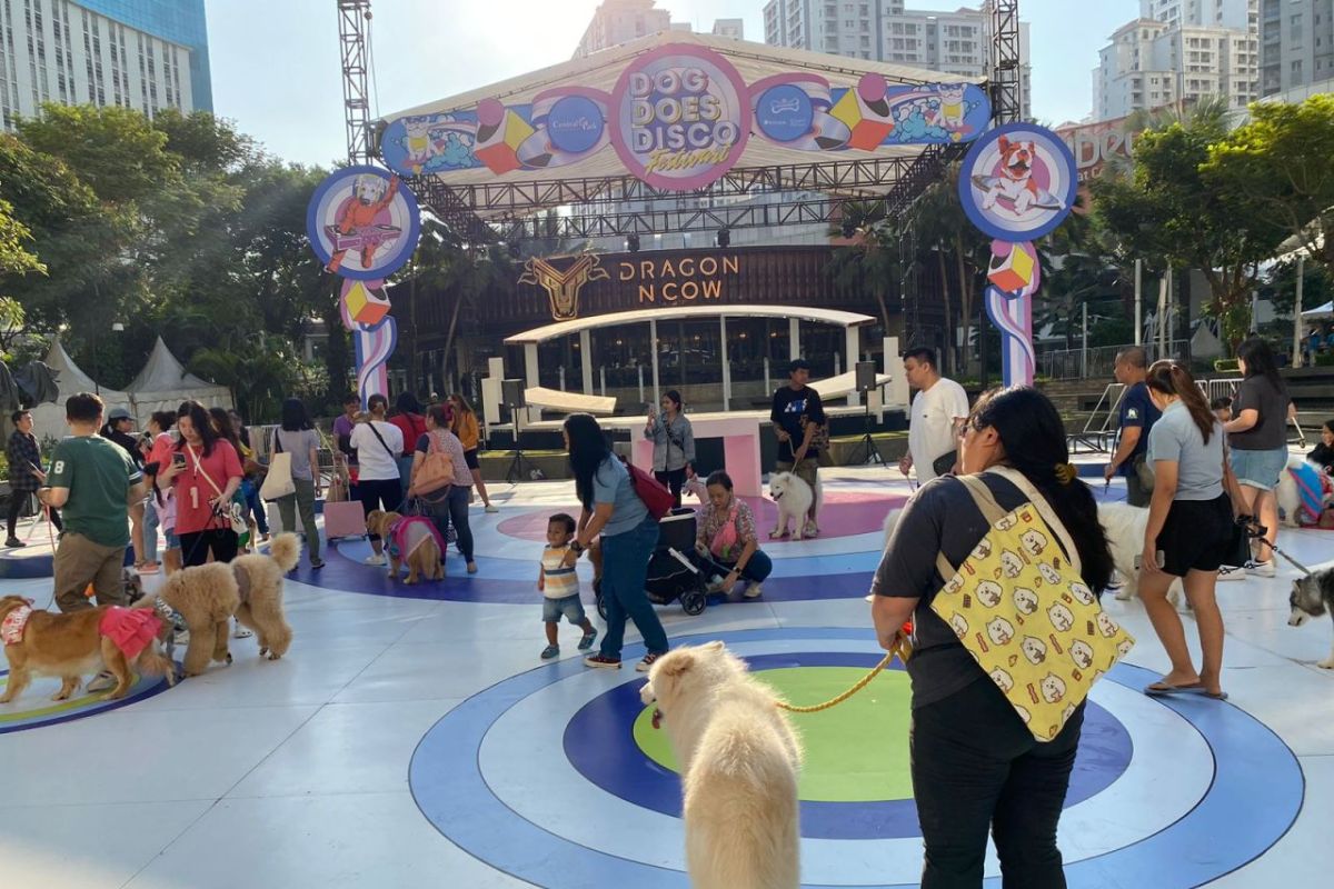 Hush Puppies gelar Dog Art Festival