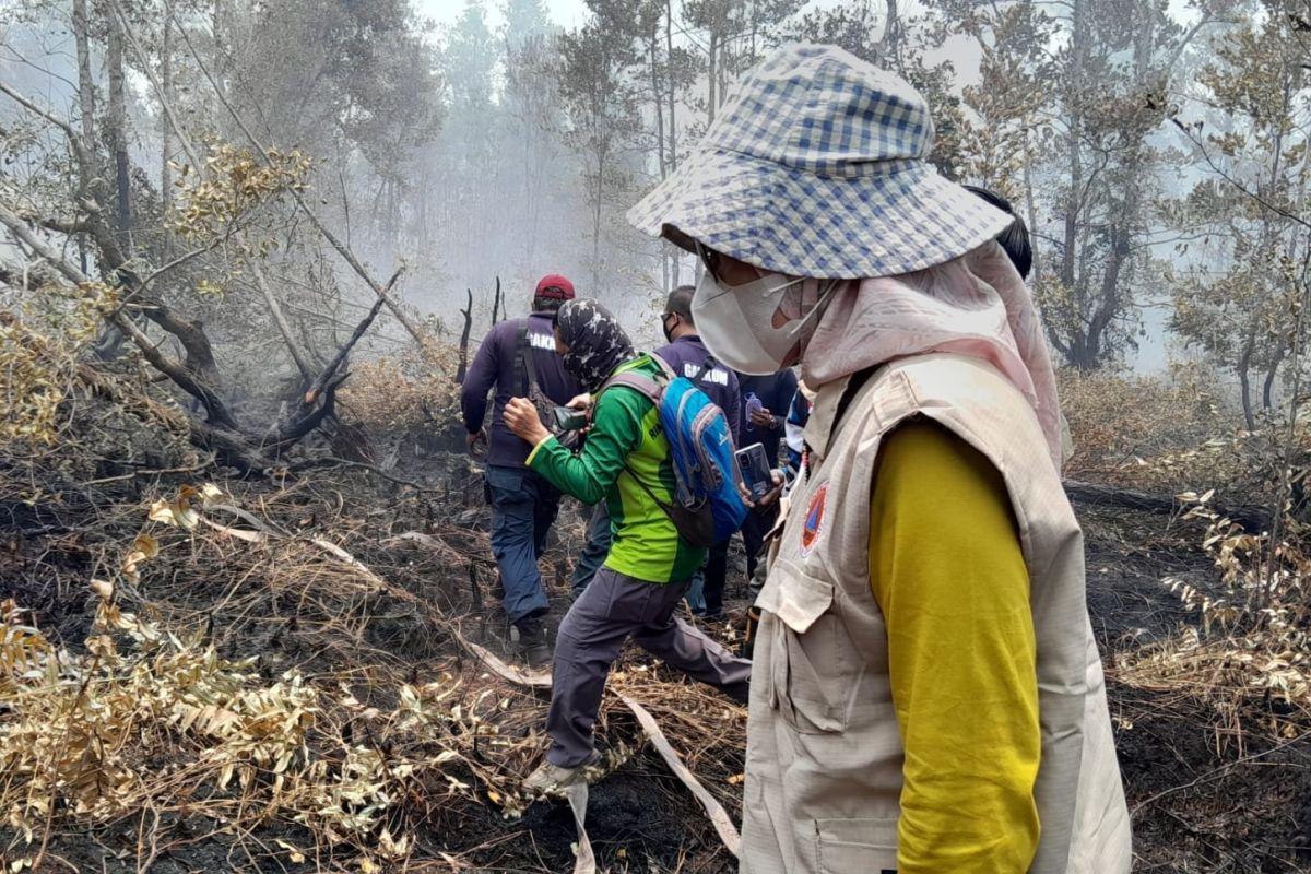 Pemkot Palangka Raya tetapkan status tanggap darurat kebakaran hutan dan lahan