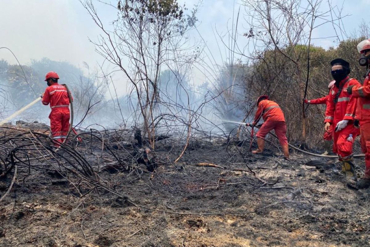 Pakar: Penderita gangguan pernafasan rentan terdampak kabut asap