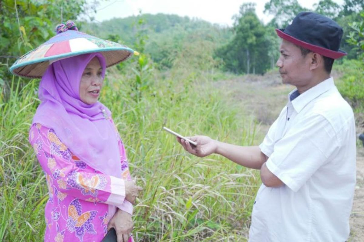 Sebanyak 53 kampung  di Berau gelar pilkades serentak