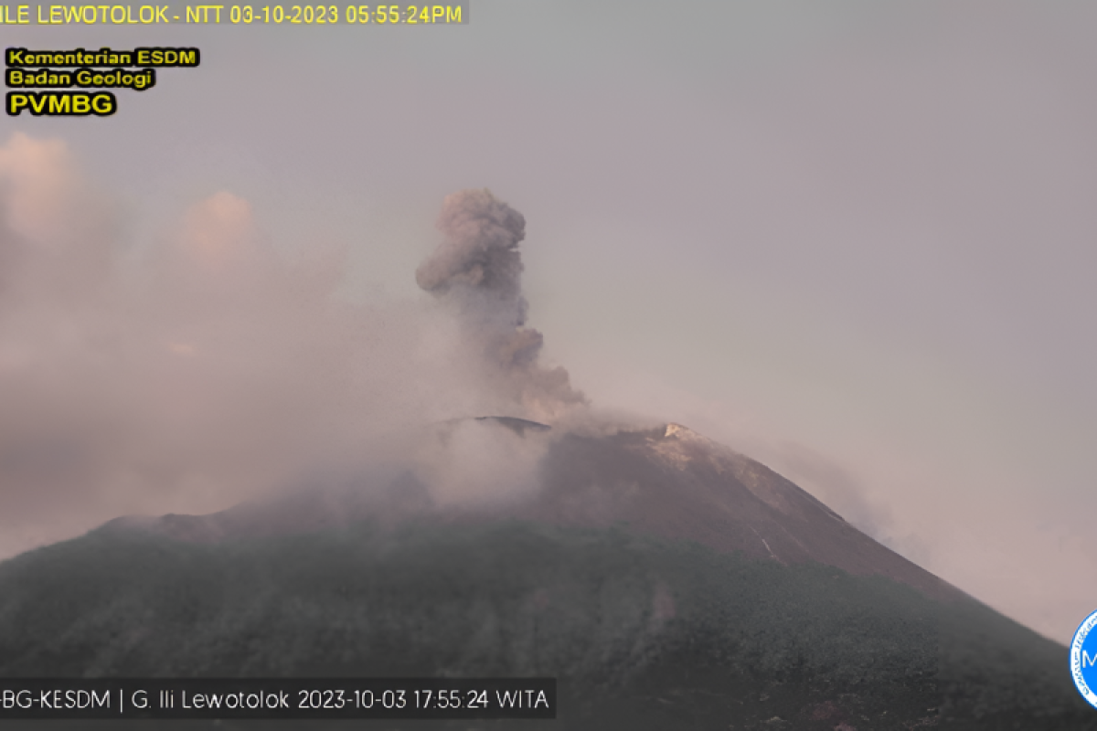 Gunung Ili Lewotolok Lembata NTT meletus