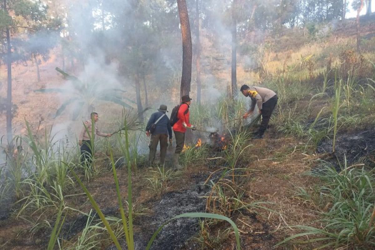 Puncak kemarau, BPBD Trenggalek imbau warga siaga karhutla