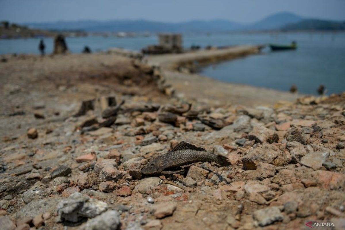 Indonesia's dry season to peak in October, extreme heat expected