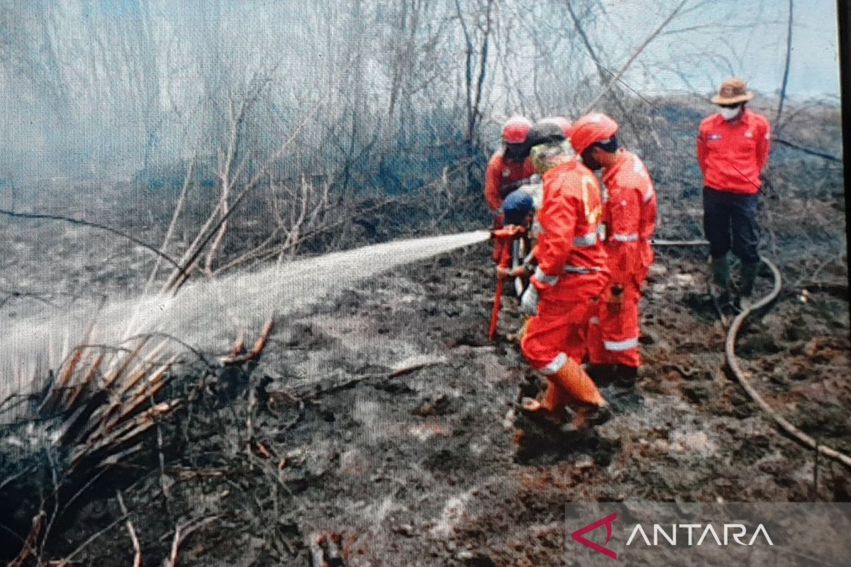 Kilang Pertamina Plaju turunkan tim bantu pemadaman  karhutla di Sumsel