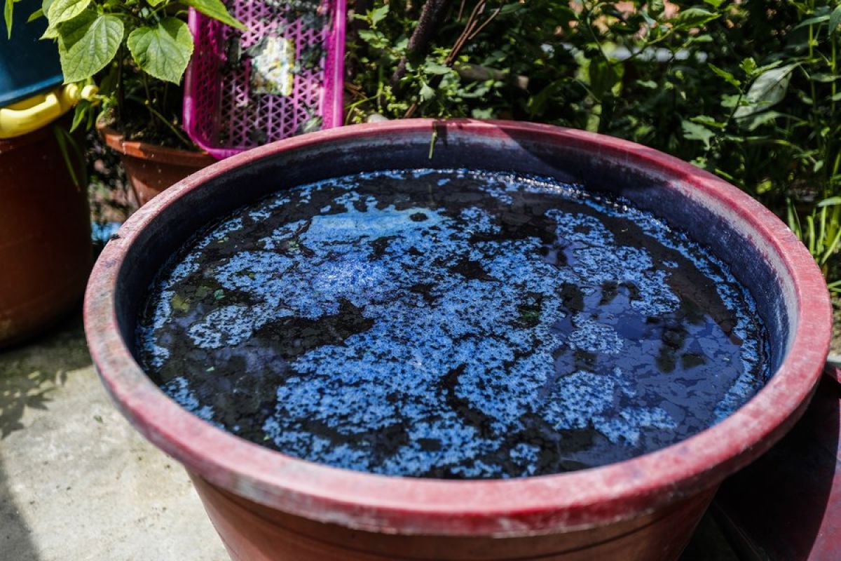 Tim peneliti China kembangkan daur ulang pewarna dari air limbah