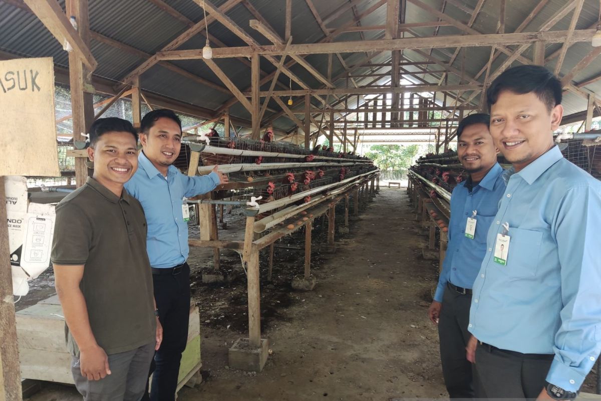 Bank Aceh support upaya UMKM menjaga pasokan telur di Aceh