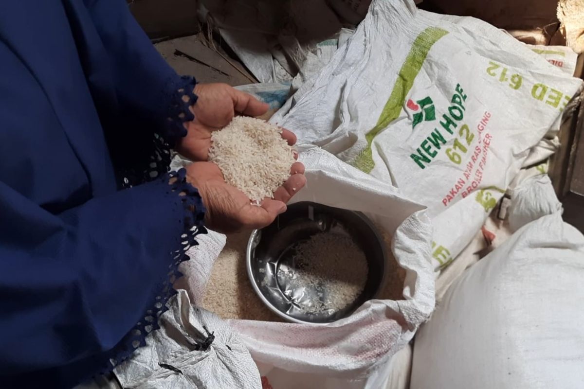 Harga beras di Trenggalek alami kenaikan