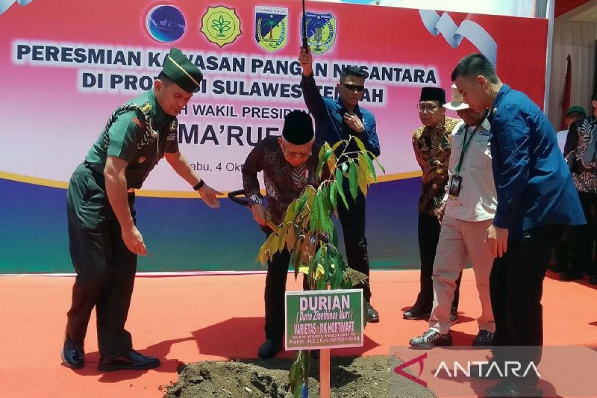 VP Amin inaugurates Nusantara Food Estate to support new capital