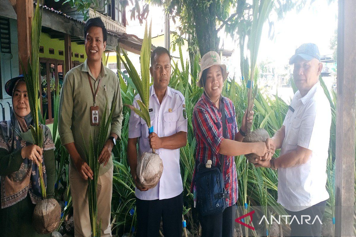 Petani Madina dapat bantuan 11 ribu bibit kelapa dari Kementan