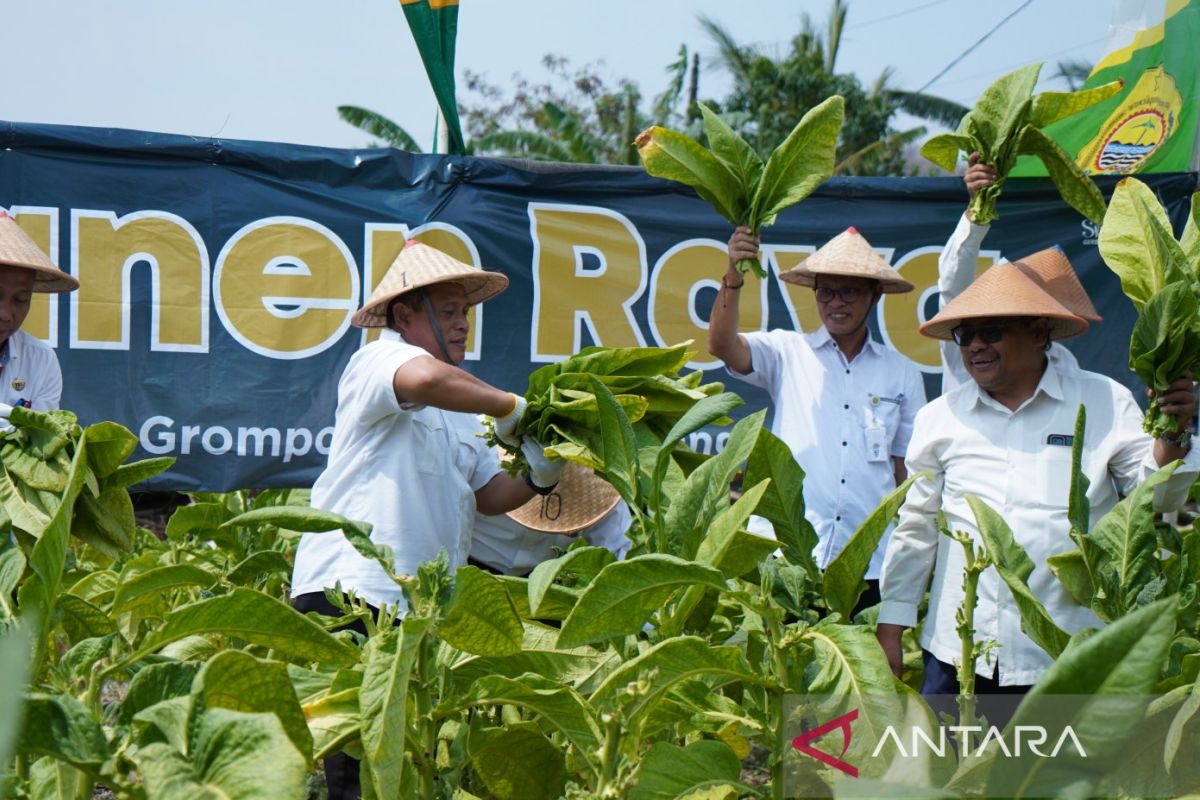 Wabup Bantul: Temu lapang petani solusi mengembangkan komoditas tembakau
