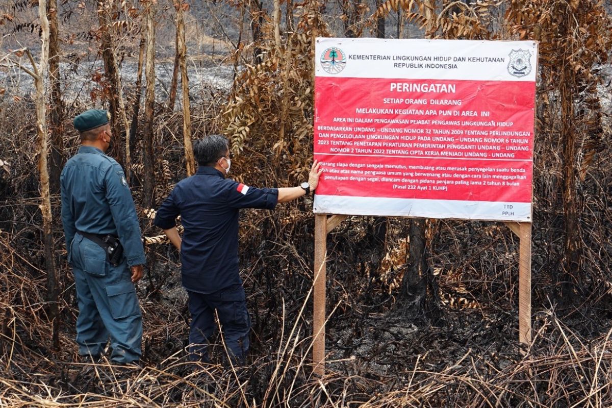KLHK segel lahan perkebunan sawit terbakar di Sumatera Selatan