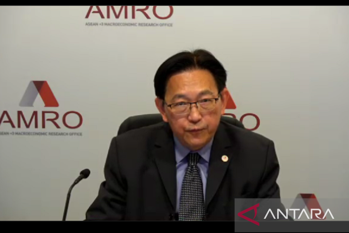 AMRO: Permintaan domestik jadi mesin utama pertumbuhan ASEAN+3