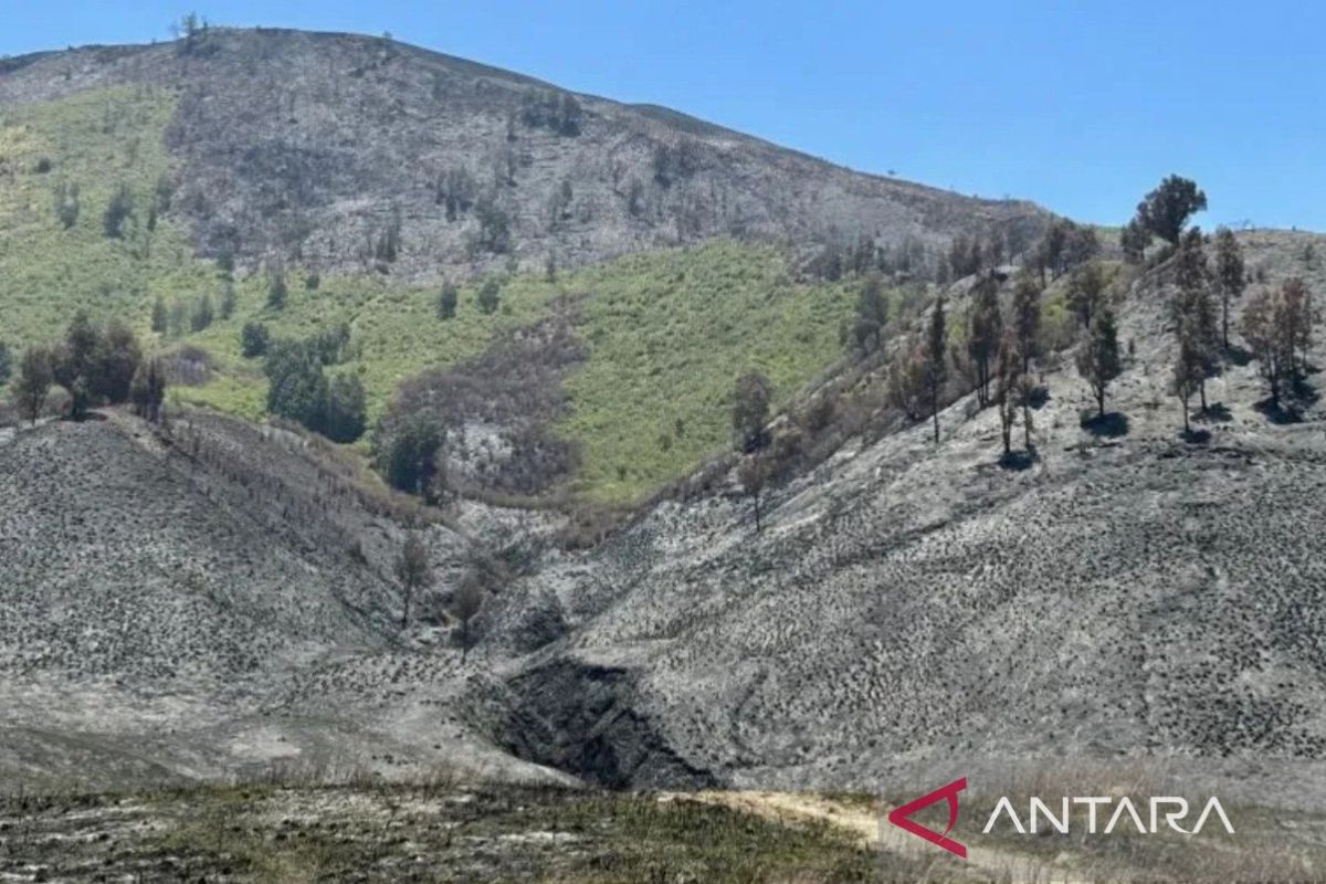 Polda Jatim limpahkan berkas kasus karhutla Bromo ke Kejaksaan