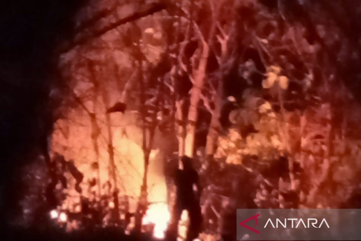 Petugas gabungan padamkan kebakaran hutan bambu di Bantargadung Sukabumi