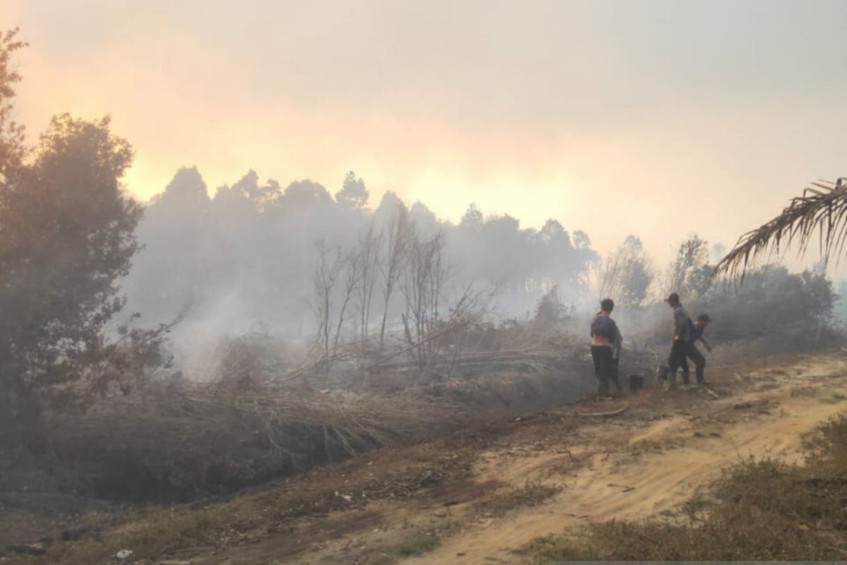BPBD Pesisir Selatan padamkan titik api di lima kecamatan
