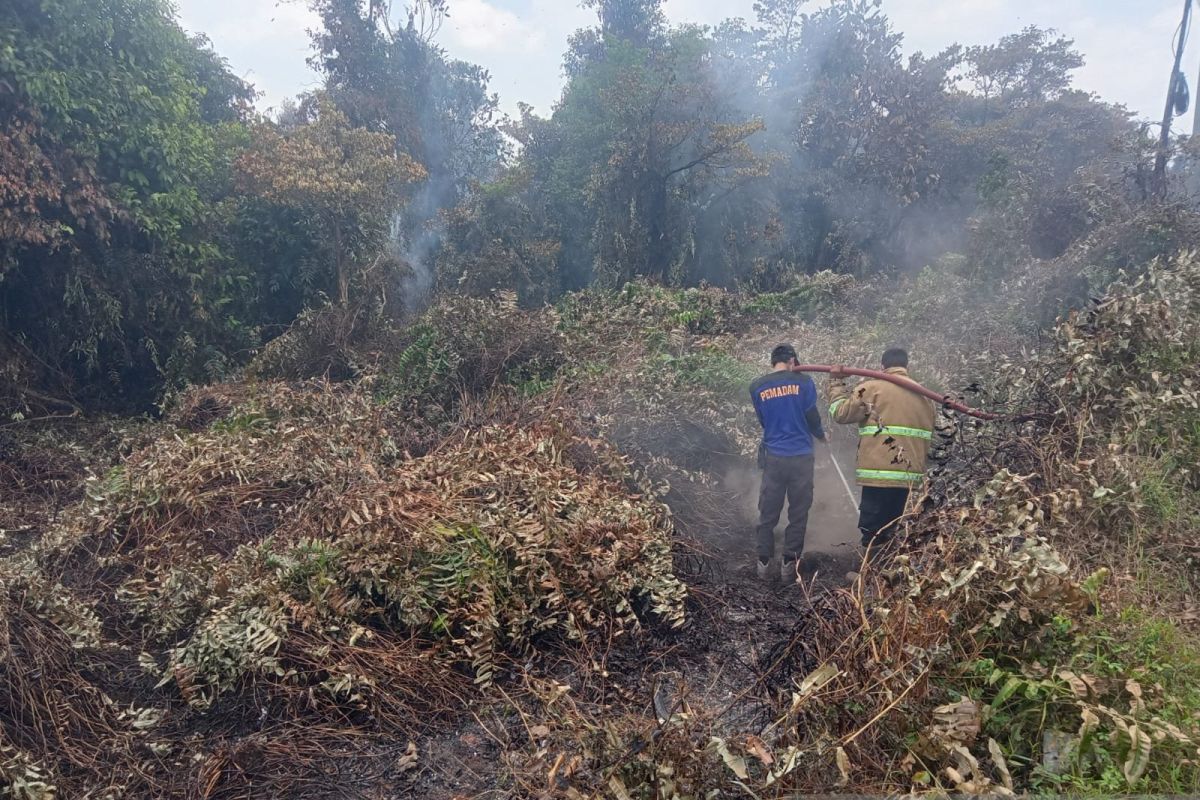 BPBD Bangka Tengah mencatat 75 hektare hutan kota terbakar