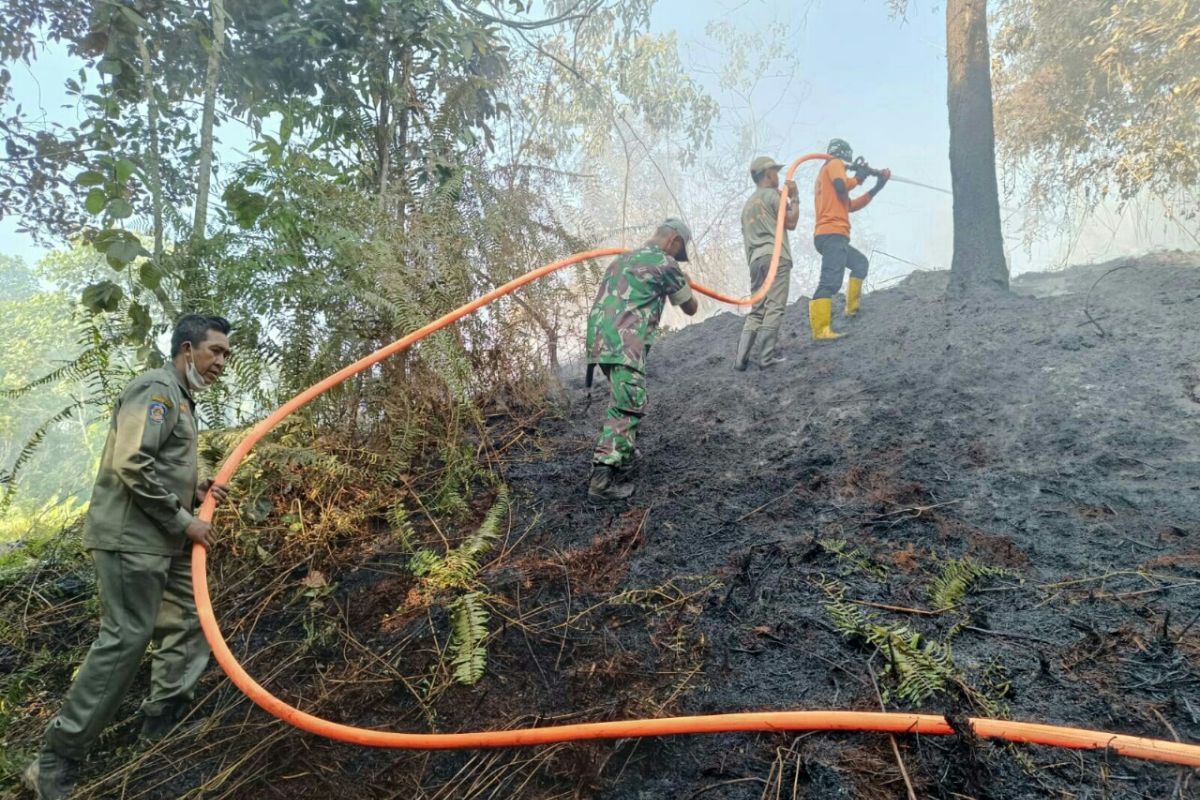 BMKG detects 252 hotspots in 7 East Kalimantan districts