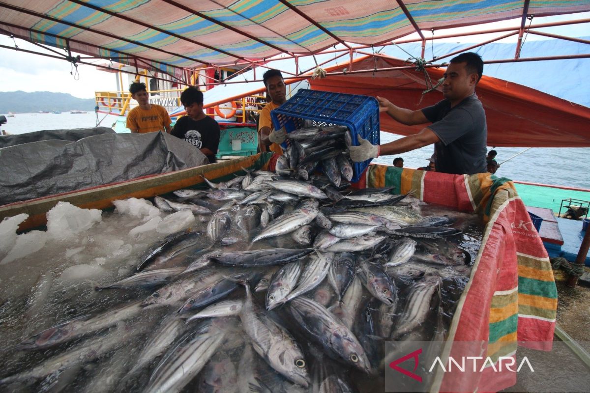 Trenggono rilis tahapan implementasi penangkapan ikan terukur
