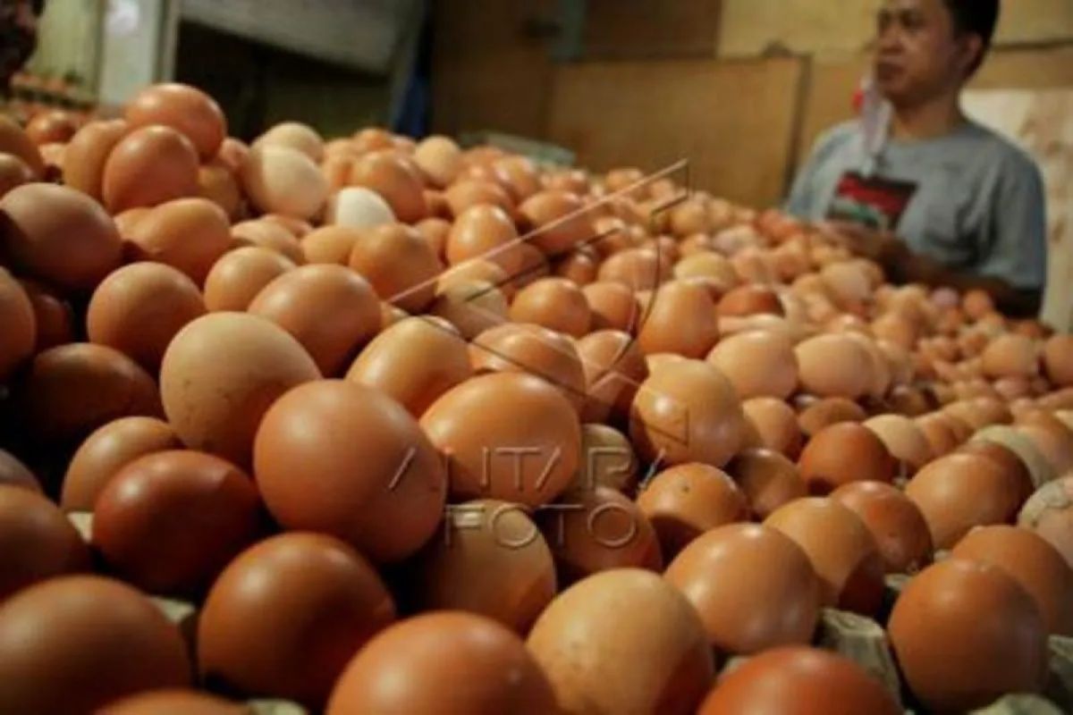 BI sebut penurunan harga telur ayam hingga cabai tahan inflasi DIY