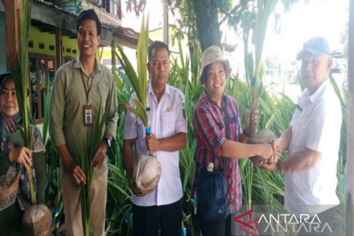 Petani Mandailing Natal dapat bantuan bibit kelapa unggul dari Kementan