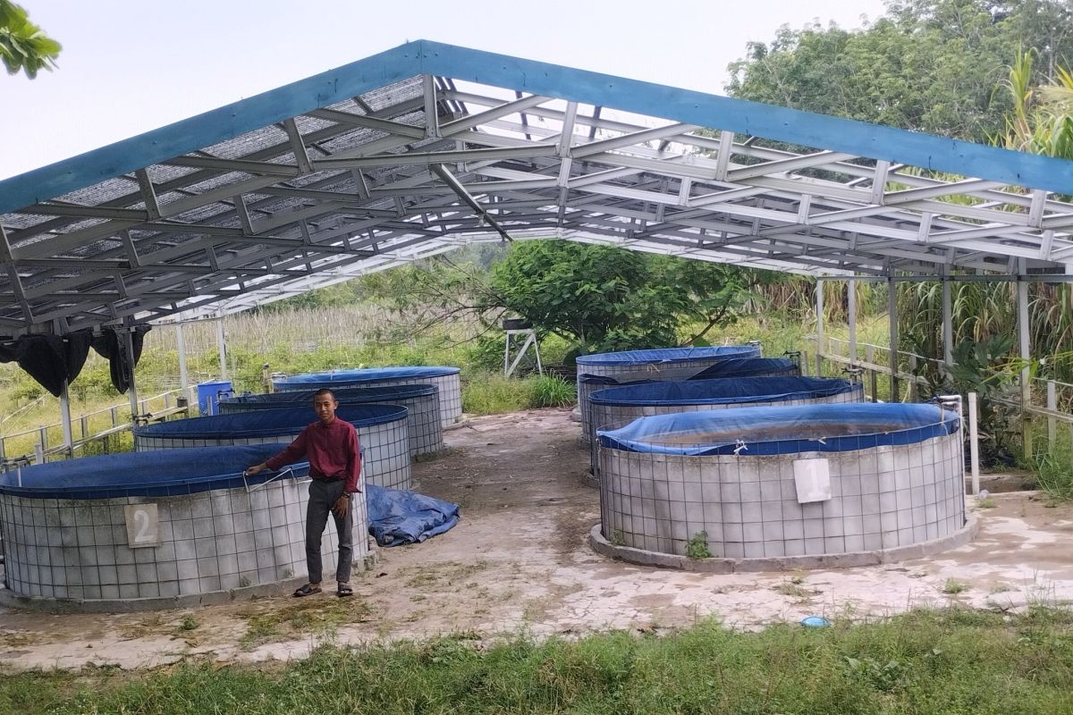 Budidaya ikan bioflok di Desa Kambitin Tabalong terhenti