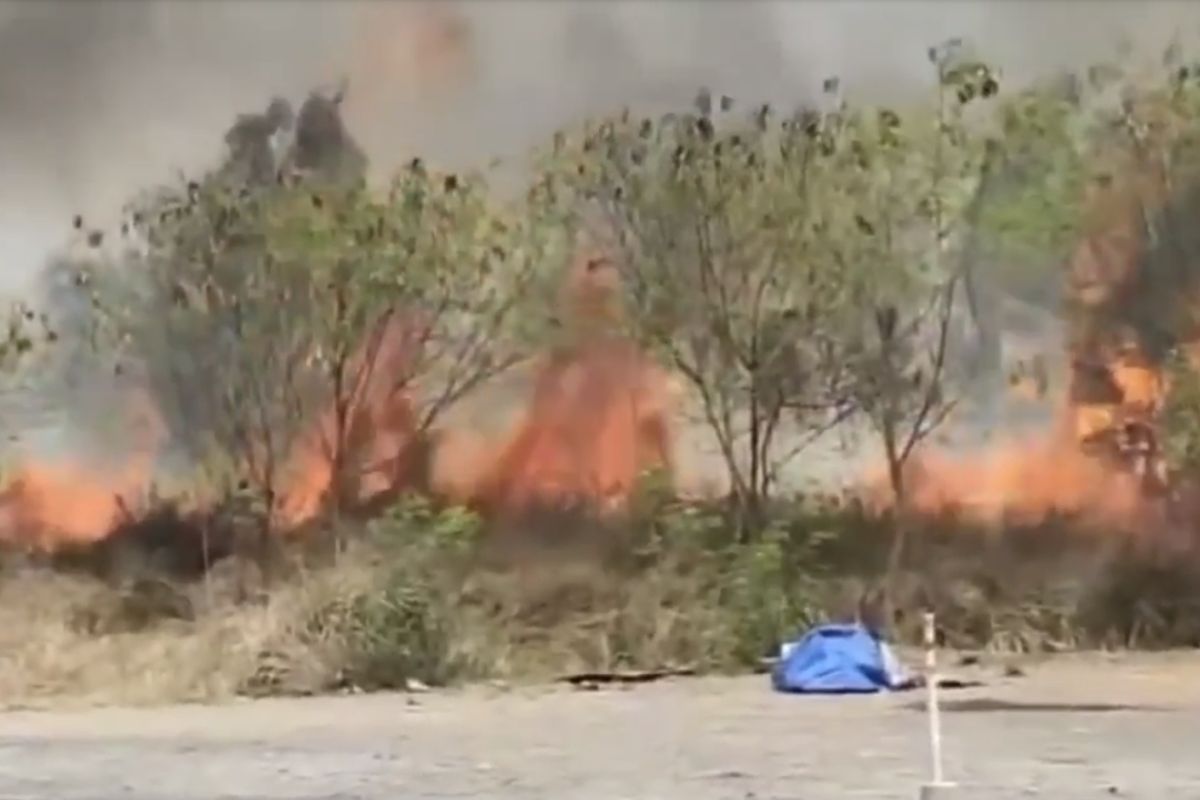 Lahan kosong di Rorotan terbakar gara-gara bara puntung rokok