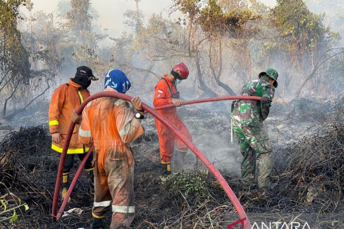 BPBD Babel padamkan kebakaran 55 hektare Hutan Lindung Koba (Video)