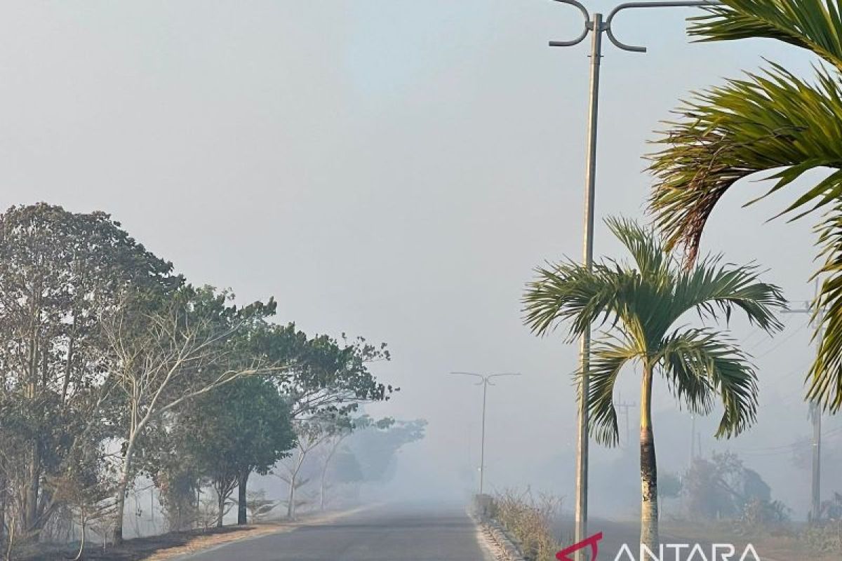 BPBD bagikan 10.000 masker ke sekolah se-Bangka Barat