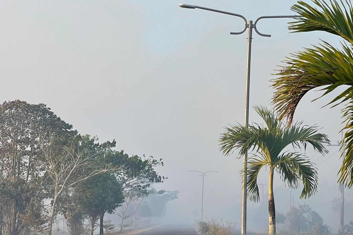 BPBD Babel bagikan 10.000 masker ke sekolah antisipasi kabut asap