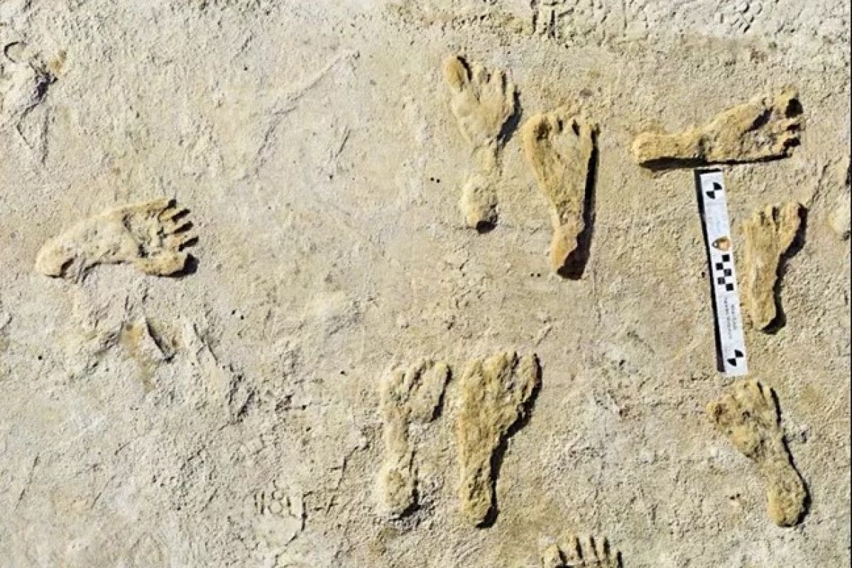 Jejak kaki ditemukan terkait tanda keberadaan manusia di benua Amerika