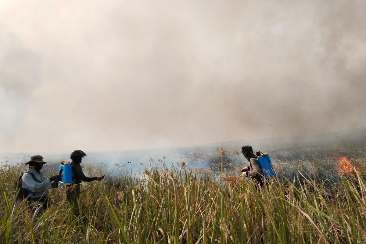 Satgas Karhutla Polres Lampung Timur selidiki kebakaran hutan di TNWK