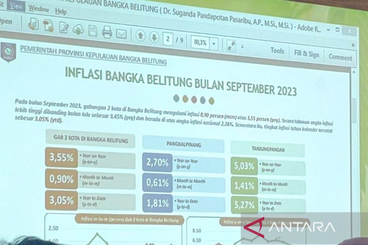 Inflasi Tertinggi Se-Indonesia, Babel Punya Opsi Penanganan - ANTARA ...