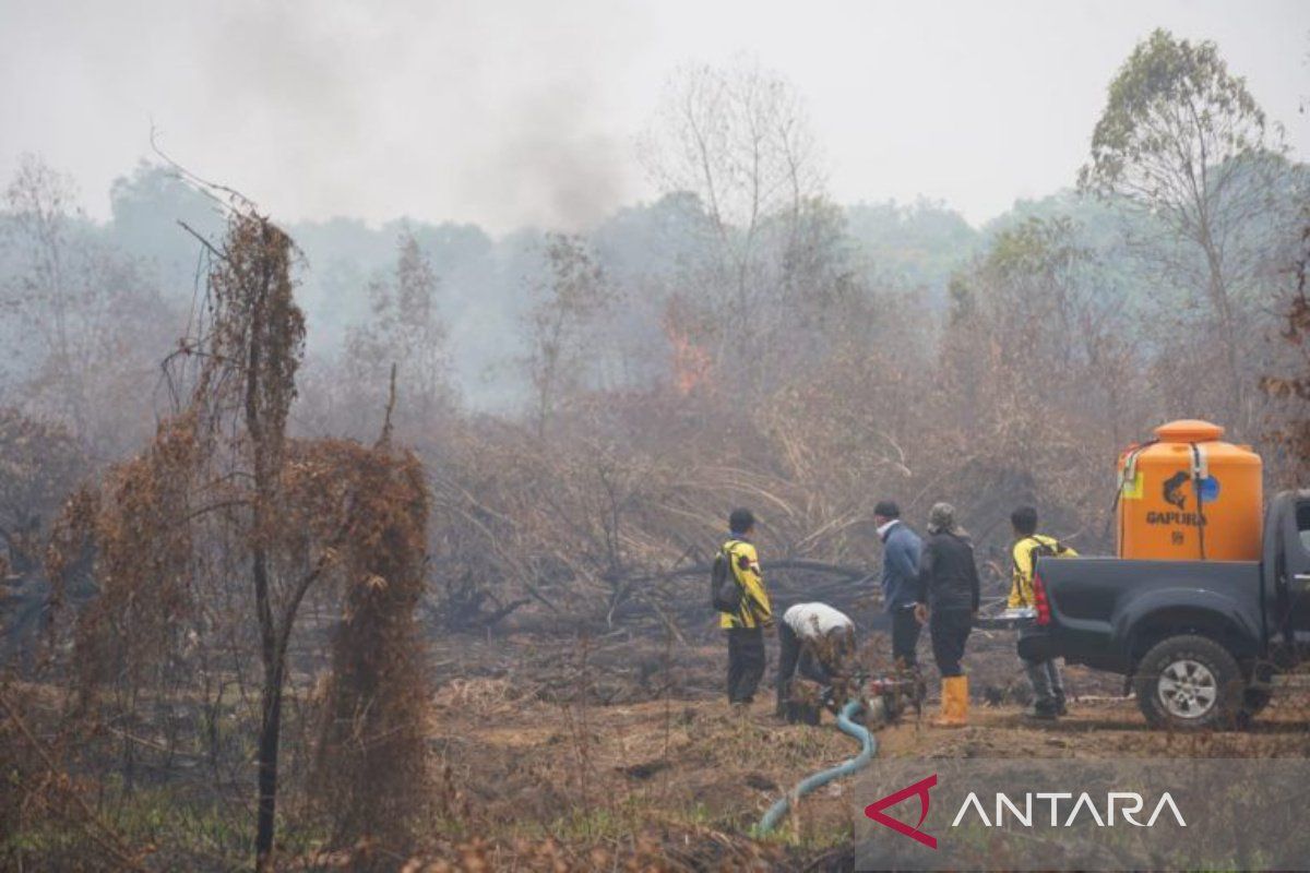 BNPB modifies weather to handle S Kalimantan forest, land fires