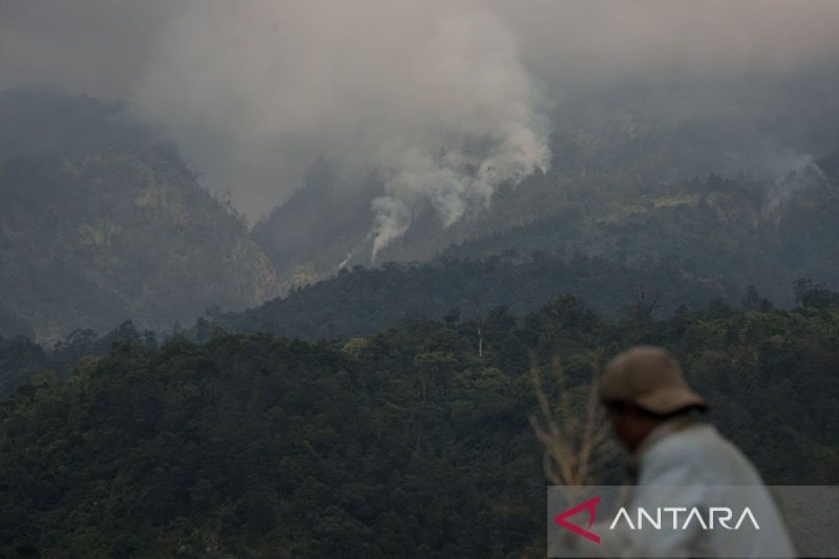 Kebakaran melanda kawasan lereng Gunung Ungaran