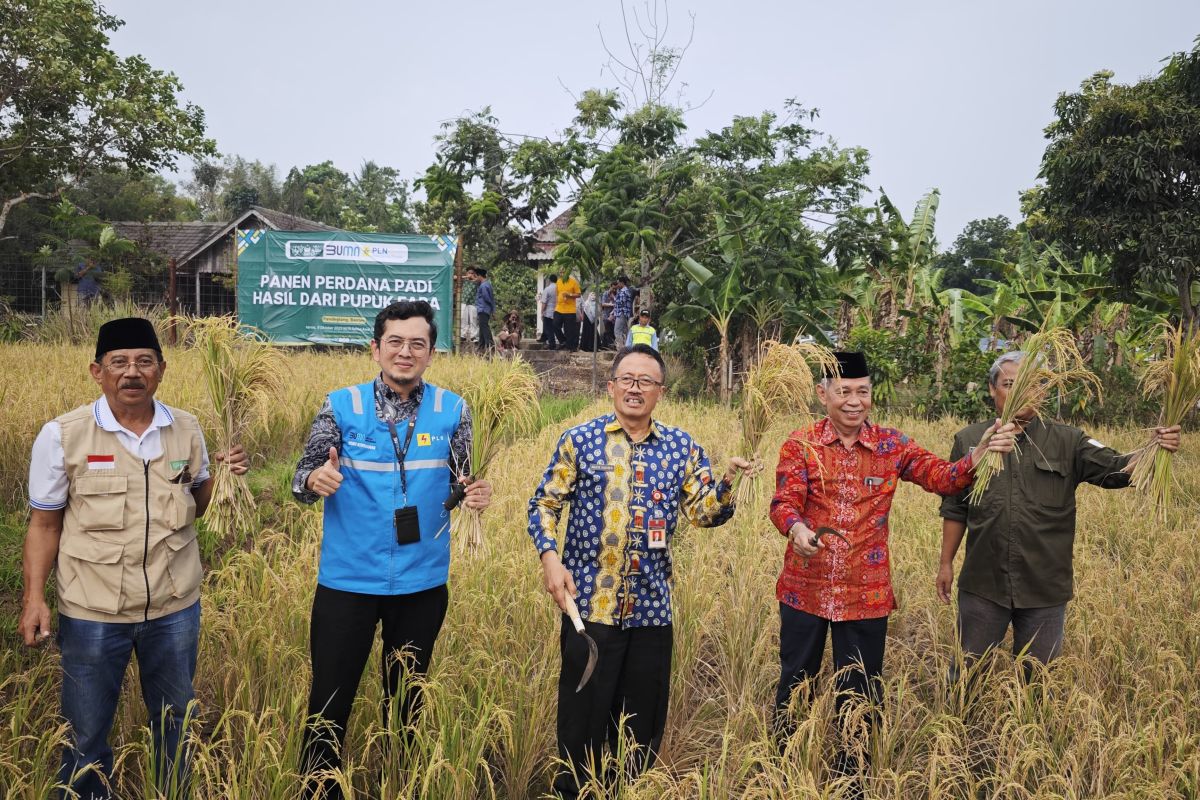 PLN Indonesia Power: Pupuk organik dari FABA tingkatkan panen padi