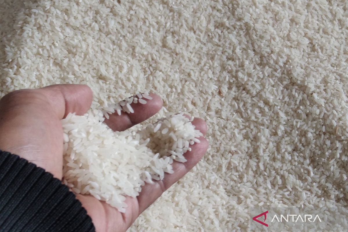 Hoaks! Video pabrik pembuatan beras palsu dari plastik