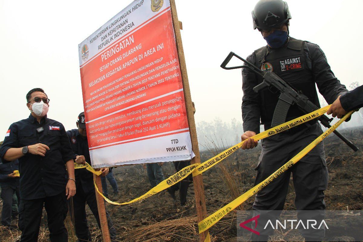 Ditjen Gakkum KLHK segel lahan PT PGK di Palangka Raya