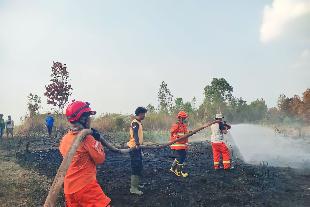 Karhutla menghanguskan 10 hektare lahan di OKU Sumatera Selatan
