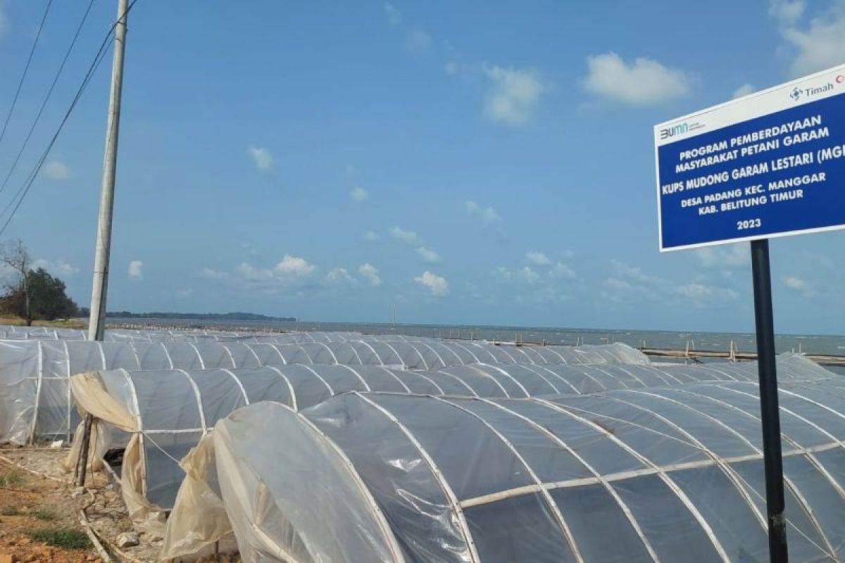 Produksi garam KUPS Mudong Garam Lestari meningkat pasca terima bantuan dari PT Timah